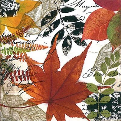 Autumn collage 33x33 cm