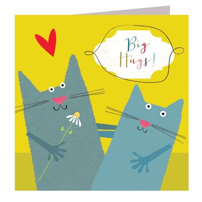 AA10 Big Hugs Cats Card