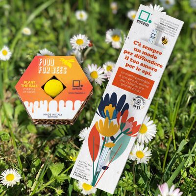 Food for Bees - 1 Pencil with chamomile seeds and 1 ball of flower seeds
