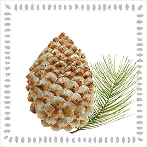 Pine Cone nature 33x33 cm