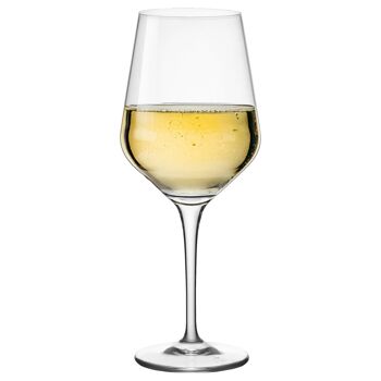 Verre à vin blanc Electra 440 ml - Par Bormioli Rocco 1