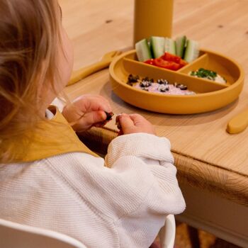 Plaque d'aspiration divisée en silicone pour bébé - Par Tiny Dining 23