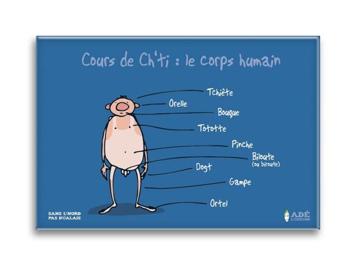 MAGNET COURS DE CH'TI : LE CORPS HUMAIN