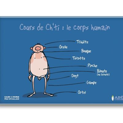 MAGNET COURS DE CH'TI : LE CORPS HUMAIN
