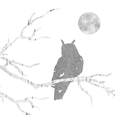 Mystic Owl argent blanc 33x33 cm