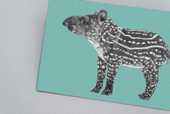 Impression d’art animalier détaillée - Tapir brésilien // A4 Pen & Ink Drawing // Wildlife Wall Art 2