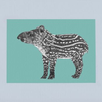 Impression d’art animalier détaillée - Tapir brésilien // A4 Pen & Ink Drawing // Wildlife Wall Art 3