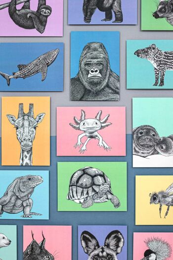 Impression d’art animalier détaillée - Tapir brésilien // A4 Pen & Ink Drawing // Wildlife Wall Art 5