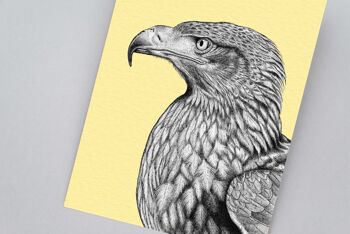 Impression d’art animalier détaillée - Aigle des steppes // Dessin au stylo et à l’encre A4 // Art mural de la faune 2