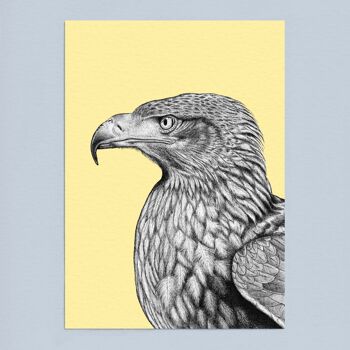 Impression d’art animalier détaillée - Aigle des steppes // Dessin au stylo et à l’encre A4 // Art mural de la faune 3