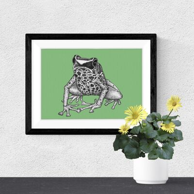 Stampa artistica dettagliata sugli animali - Dart Frog // Disegno a penna e inchiostro A4 // Arte della parete della fauna selvatica