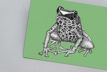 Impression d’art animal détaillée - Dart Frog // A4 Pen & Ink Drawing // Wildlife Wall Art 2