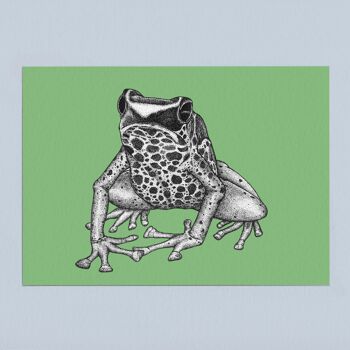 Impression d’art animal détaillée - Dart Frog // A4 Pen & Ink Drawing // Wildlife Wall Art 3