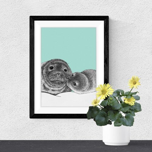 Detailed Animal Art Print - Grey Seals // A4 Pen & Ink Drawing // Wildlife Wall Art