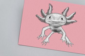 Impression d’art animal détaillée - Axolotl // A4 Pen & Ink Drawing // Wildlife Wall Art 2
