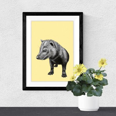 Impresión detallada de arte animal - Bush Dog // A4 Pen & Ink Drawing // Wildlife Wall Art