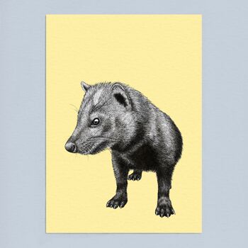 Impression d’art animal détaillée - Bush Dog // A4 Pen & Ink Drawing // Wildlife Wall Art 3