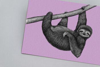 Impression d’art animalier détaillée - Paresseux // A4 Pen & Ink Drawing // Wildlife Wall Art 2