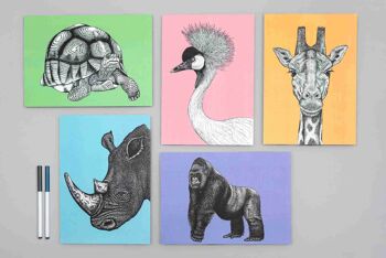 Impression d’art animalier détaillée - Tortue Ploughshare // A4 Pen & Ink Drawing // Wildlife Wall Art 5