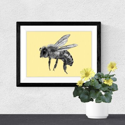 Detaillierter Tierkunstdruck – Honigbiene // A4-Stift- und Tintenzeichnung // Wildtier-Wandkunst