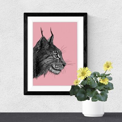 Detailed Animal Art Print - Eurasian Lynx // A4 Pen & Ink Drawing // Wildlife Wall Art