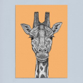 Impression d’art animal détaillée - Girafe // A4 Pen & Ink Drawing // Wildlife Wall Art 3