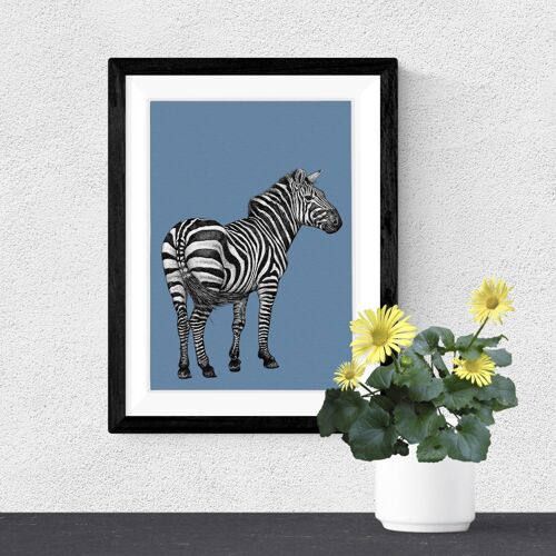 Detailed Animal Art Print - Plains Zebra // A4 Pen & Ink Drawing // Wildlife Wall Art