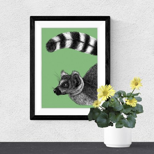 Detailed Animal Art Print - Ring-tailed Lemur // A4 Pen & Ink Drawing // Wildlife Wall Art