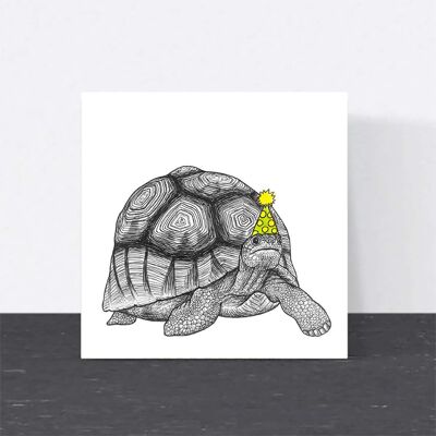 Animal Birthday Card - Party Tortoise // Eco-friendly Cards // Wildlife Art Cards