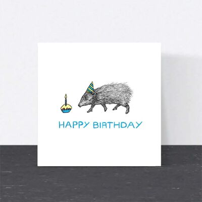 Tarjeta de cumpleaños de animales - Cerdo pigmeo // Tarjetas ecológicas // Tarjetas de arte de vida silvestre