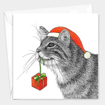 Carte de Noël animale - Chat sauvage écossais // Cartes de Noël respectueuses de l’environnement // Cartes d’art de la faune 2