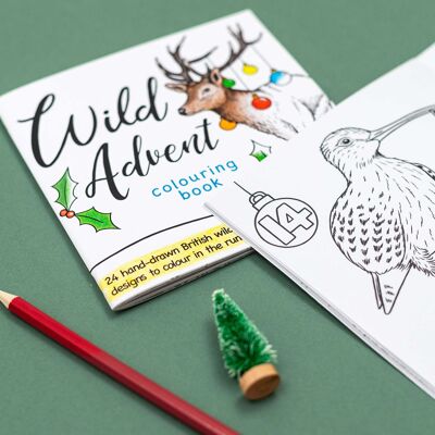 Wild Advent colouring book