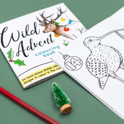 Wild Advent colouring book