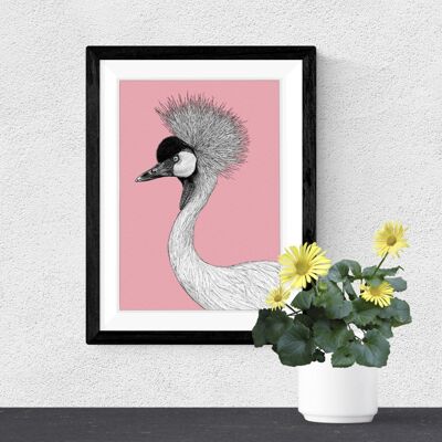 Detailed Animal Art Print - African Crowned Crane // A4 Pen & Ink Drawing // Wildlife Wall Art