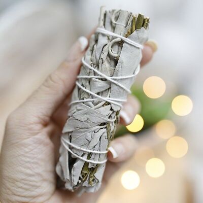 Purifying bundle - white and rough sage 10cm