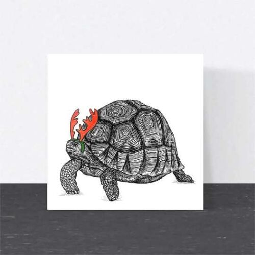 Animal Christmas Card - Tortoise // Eco-friendly Christmas Cards