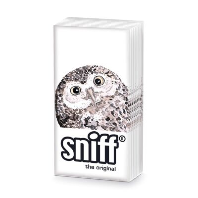 Hibou MouchoirSniff
