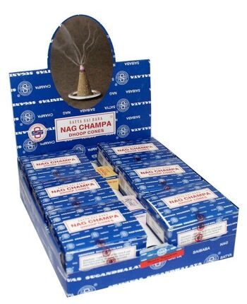 12 paquets de cônes d'encens Nag Champa 2