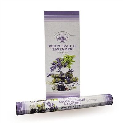 6 packs Green Tree Incense - White sage and lavender