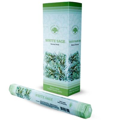 6 packs Green Tree Incense - White Sage