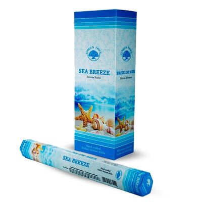6 packs Green Tree Incense - Sea Breeze