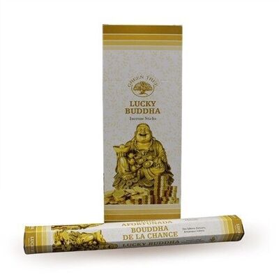 6 packs Green Tree Incense - Lucky Buddha