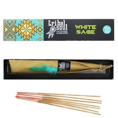 12 Packs Tribal Soul incense - White sage