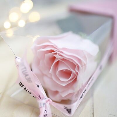 6 Single rose - pink