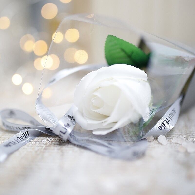 6 Rosier simple - blanc