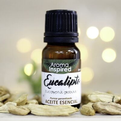 Essential oil 10 ml - eucalyptus
