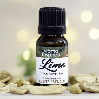 Ätherisches Öl 10 ml – Limette