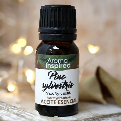 Essential oil 10 ml - Scots pine