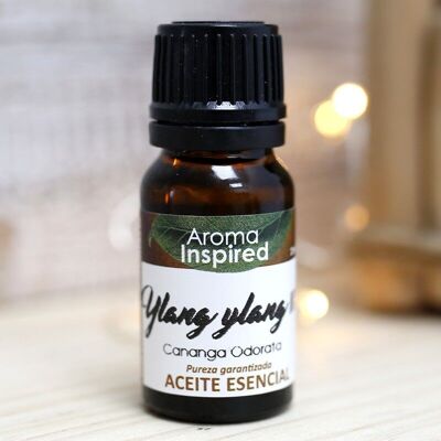 Aceite esencial 10 ml - ylang ylang III