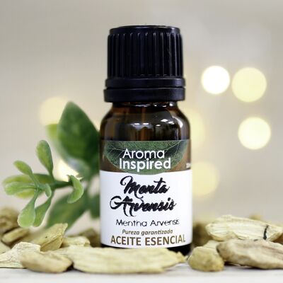 Aceite esencial 10 ml - menta arvensis